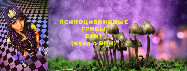винт Лабытнанги