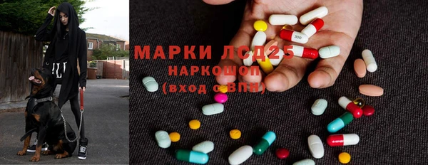 винт Лабытнанги