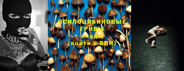 винт Лабытнанги