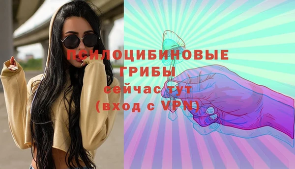 винт Лабытнанги