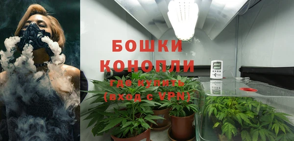 винт Лабытнанги