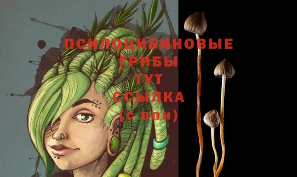 круглые Лагань