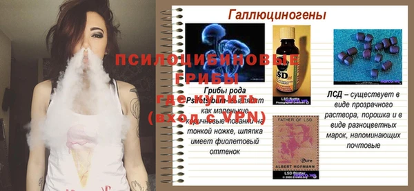 винт Лабытнанги