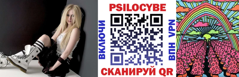 Галлюциногенные грибы Psilocybe  Купить закладки  Костерёво 